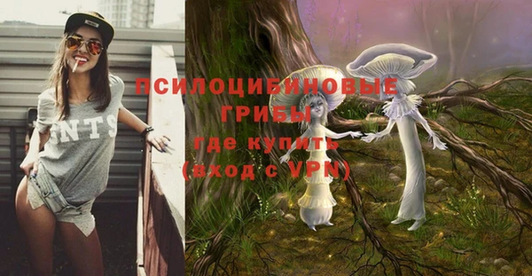 кристаллы Заводоуковск